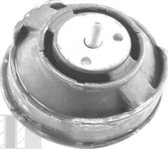 Tedgum 00080630 - Подушка, опора, подвеска двигателя autospares.lv