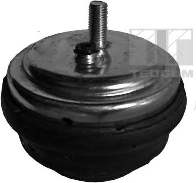 Tedgum 00080395 - Подушка, опора, подвеска двигателя autospares.lv