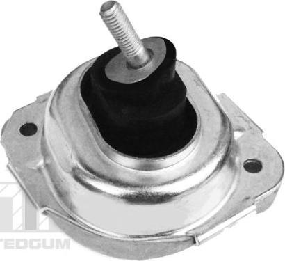 Tedgum 00088531 - Подушка, опора, подвеска двигателя autospares.lv