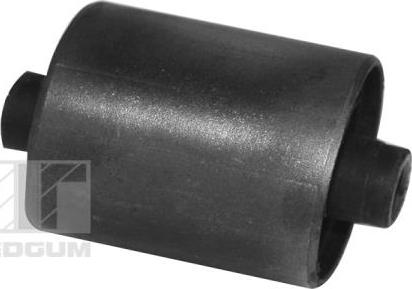 Tedgum 00162171 - Подвеска, держатель ступенчатой коробки передач autospares.lv