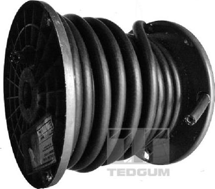 Tedgum 00816680 - Топливный шланг autospares.lv