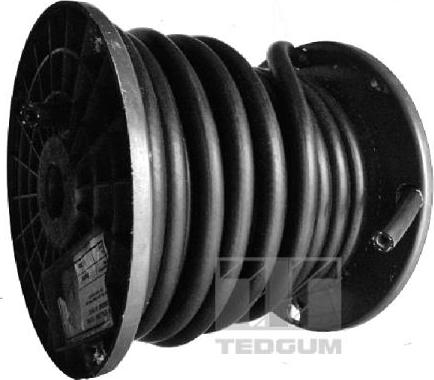 Tedgum 00817610 - Топливный шланг autospares.lv