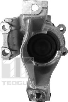 Tedgum 00269182 - Подушка, опора, подвеска двигателя autospares.lv