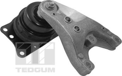 Tedgum 00729405 - Подушка, опора, подвеска двигателя autospares.lv