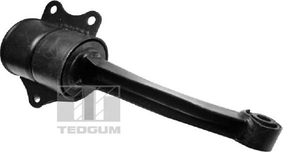 Tedgum 00725975 - Подушка, опора, подвеска двигателя autospares.lv