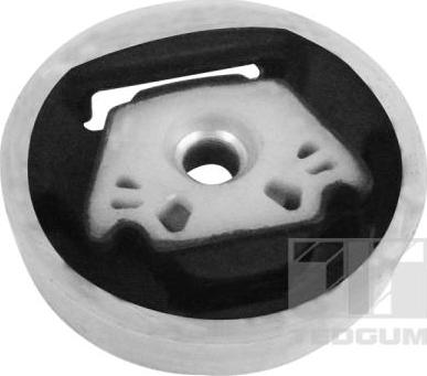 Tedgum 00728393 - Подушка, опора, подвеска двигателя autospares.lv