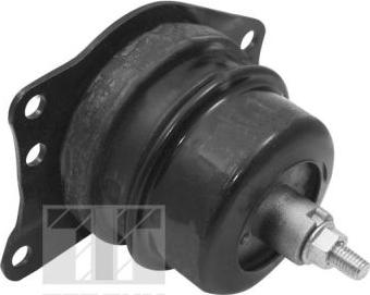 Tedgum TED40385 - Подушка, опора, подвеска двигателя autospares.lv