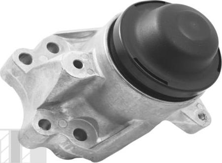 Tedgum TED17586 - Подушка, опора, подвеска двигателя autospares.lv