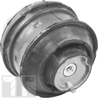 Tedgum TED72237 - Подушка, опора, подвеска двигателя autospares.lv