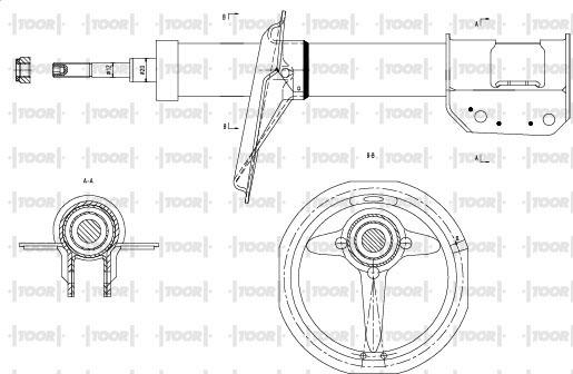 TOOR SG10120 - Амортизатор autospares.lv