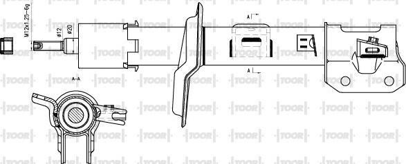 TOOR SG11310 - Амортизатор autospares.lv