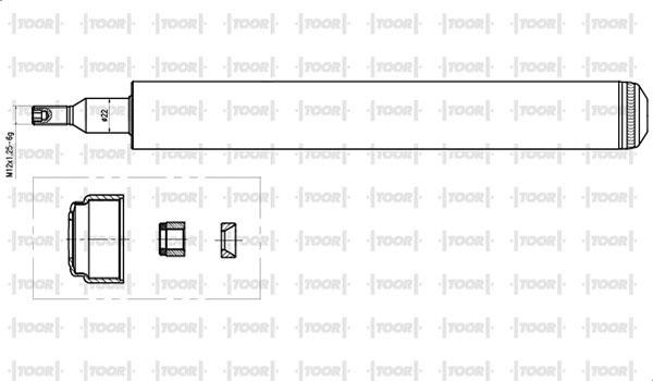 TOOR SG11280 - Амортизатор autospares.lv