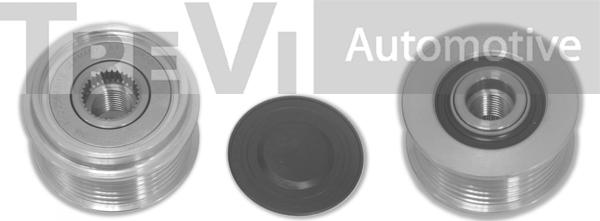 Trevi Automotive AP1006 - Шкив генератора, муфта autospares.lv