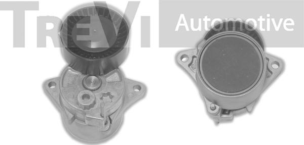 Trevi Automotive TA1616 - Натяжитель, поликлиновый ремень autospares.lv