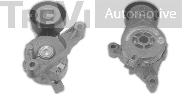 Trevi Automotive TA1617 - Натяжитель, поликлиновый ремень autospares.lv