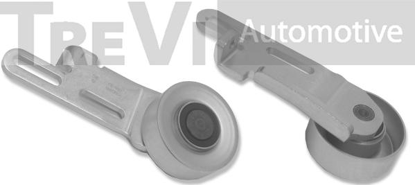 Trevi Automotive TA1061 - Ролик, поликлиновый ремень autospares.lv