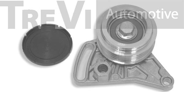 Trevi Automotive TA1170 - Ролик, поликлиновый ремень autospares.lv