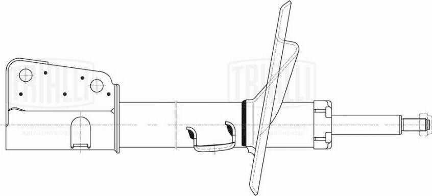 Trialli AG 03057 - Амортизатор autospares.lv