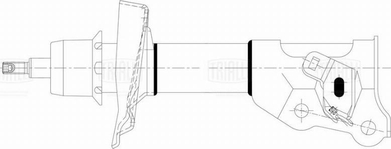 Trialli AG 23150 - Амортизатор autospares.lv