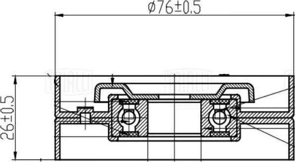 Trialli CM 5409 - Натяжитель, поликлиновый ремень autospares.lv