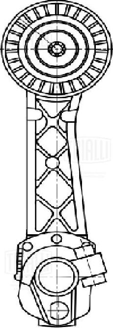 Trialli CM 5473 - Натяжитель, поликлиновый ремень autospares.lv