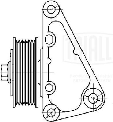 Trialli CM 5625 - Ролик, поликлиновый ремень autospares.lv