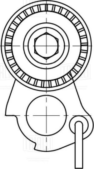 Trialli CM 5079 - Натяжитель, поликлиновый ремень autospares.lv