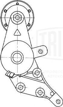 Trialli CM 5291 - Ролик, поликлиновый ремень autospares.lv