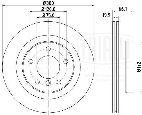 Trialli DF 261005 - Тормозной диск autospares.lv