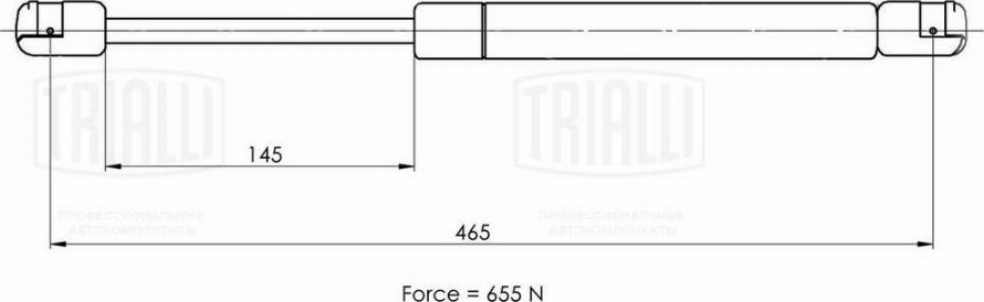 Trialli GS 1009 - Газовая пружина, упор autospares.lv