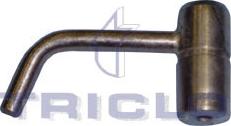 Triclo 415876 - Форсунка масляная, охлаждение поршней autospares.lv