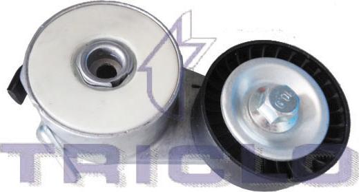 Triclo 424408 - Натяжитель, поликлиновый ремень autospares.lv