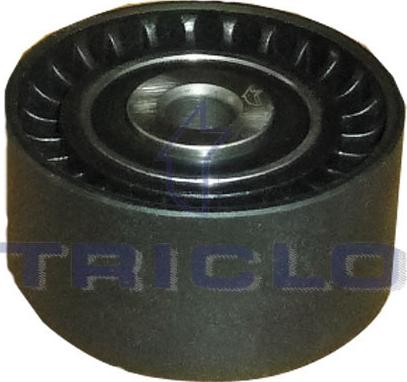 Triclo 420022 - Ролик, поликлиновый ремень autospares.lv