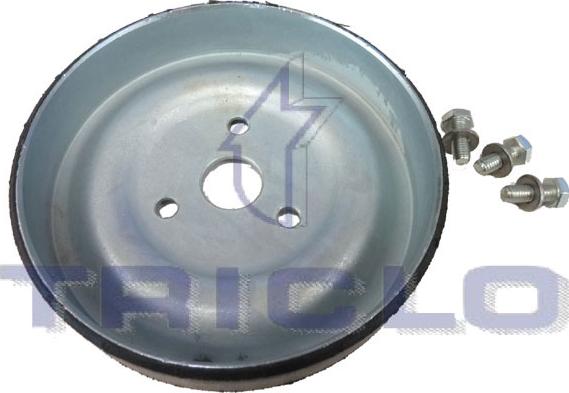 Triclo 420164 - Ролик, поликлиновый ремень autospares.lv