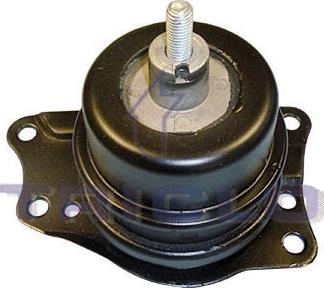 Triclo 363163 - Подушка, опора, подвеска двигателя autospares.lv