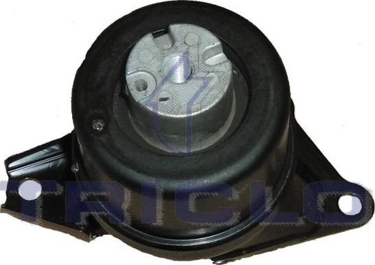 Triclo 362513 - Подушка, опора, подвеска двигателя autospares.lv