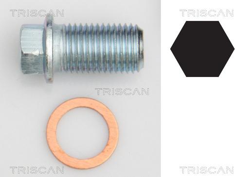Triscan 9500 1012 - Резьбовая пробка, масляный поддон autospares.lv