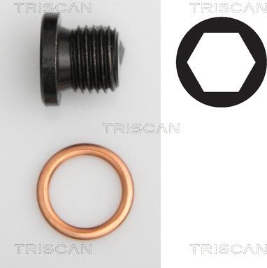 Triscan 9500 2906 - Резьбовая пробка, масляный поддон autospares.lv