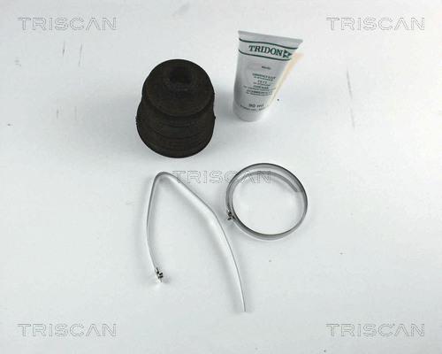 Triscan 8540 42902 - Пыльник, приводной вал autospares.lv