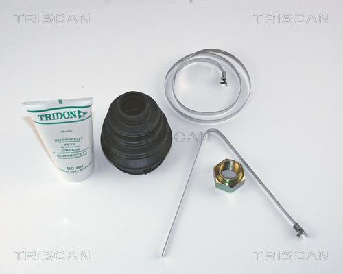 Triscan 8540 15905 - Пыльник, приводной вал autospares.lv