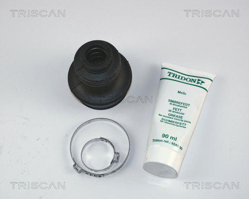Triscan 8540 16705 - Пыльник, приводной вал autospares.lv