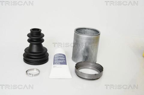 Triscan 8540 10910 - Пыльник, приводной вал autospares.lv
