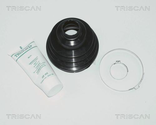 Triscan 8540 10811 - Пыльник, приводной вал autospares.lv