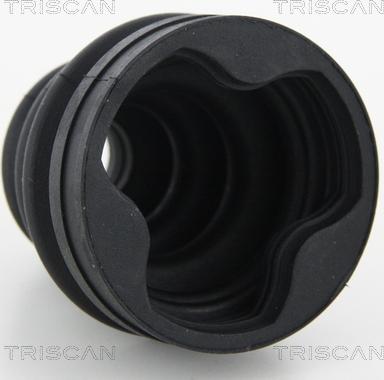 Triscan 8540 13905 - Пыльник, приводной вал autospares.lv