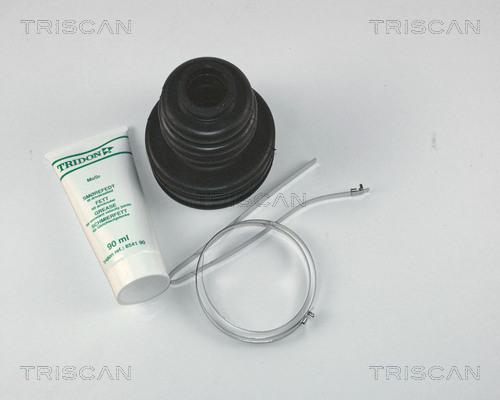 Triscan 8540 13901 - Пыльник, приводной вал autospares.lv