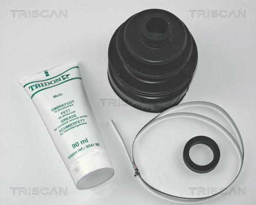 Triscan 8540 38803 - Пыльник, приводной вал autospares.lv