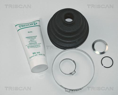 Triscan 8540 29802 - Пыльник, приводной вал autospares.lv