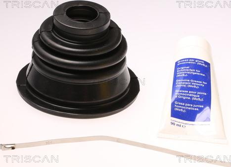 Triscan 8540 25902 - Пыльник, приводной вал autospares.lv