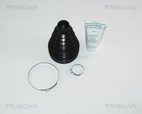 Triscan 8540 25811 - Пыльник, приводной вал autospares.lv