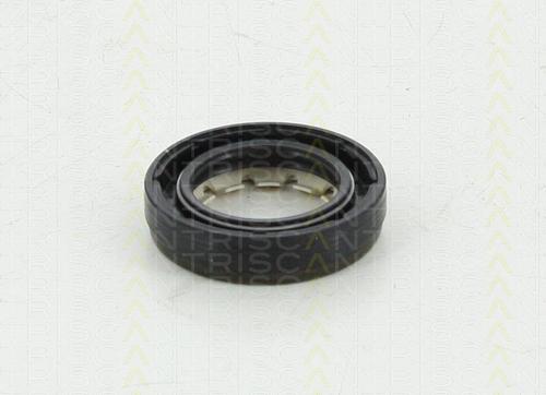 Triscan 8550 10043 - Уплотняющее кольцо, дифференциал autospares.lv